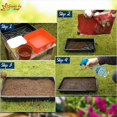 Kraft Seeds Fresh Garden Flower Seeds - Branzia Herbs