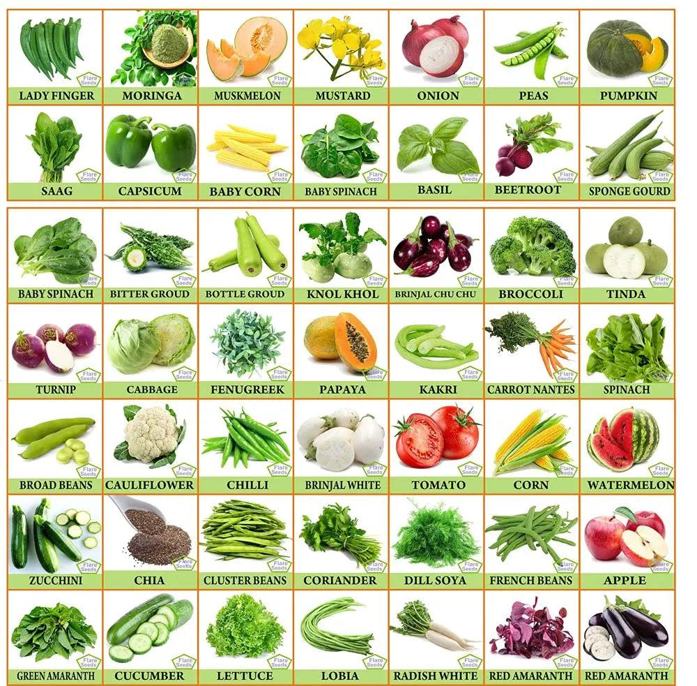 Vegetable & Fruit Seeds Combo - Branzia Herbs