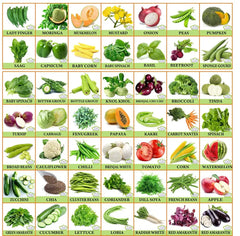 Vegetable & Fruit Seeds Combo - Branzia Herbs