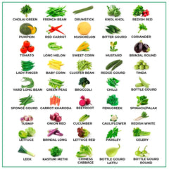 Vegetable Seeds for Gardening Vegetable Seeds for Outdoor | Gardening Planting Seeds for Kitchen | Vegetable Seeds for Pots - Branzia Herbs