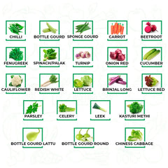 Vegetable Seeds for Gardening Vegetable Seeds for Outdoor | Gardening Planting Seeds for Kitchen | Vegetable Seeds for Pots - Branzia Herbs