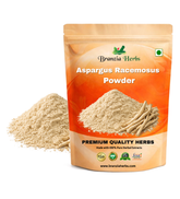 Aspargus racemosus powder - Branzia Herbs