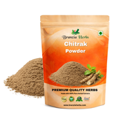 Chitrak Powder – Plumbago zeylanica - Branzia Herbs