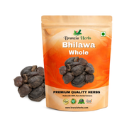 Bhilawa | Marking Nut | Semecarpus anacardiu - Branzia Herbs