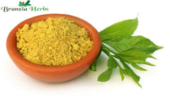 Best Organic Henna Powder Manufacturer in India - Branzia Herbs