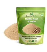 Nettle Root Powder - Branzia Herbs