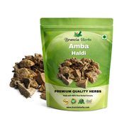 Amba Haldi - Aamba - Aama Haldi - Kasturi Haldi - Curcuma amada - Wild Turmeric - Branzia Herbs