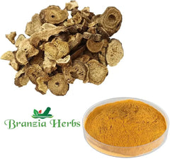Jamalghota Powder - Branzia Herbs