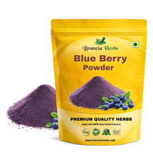 Blue Berry Extract - Branzia Herbs