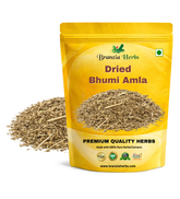 Dried Bhumi Amla Bhoomi Amla Phyllanthus - Branzia Herbs