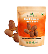 Syed Garden Pongamia Pinnata Punguan Seeds, Tree Seed Seed Branzia Herbs