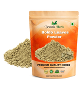 Boldo Leaves, Powder, 1 oz (Peumus boldus) - Branzia Herbs