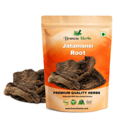 Jatamansi Root - Balchad - Jatamasi Jadd - Jatila - Nardostachys jatamansi - Branzia Herbs