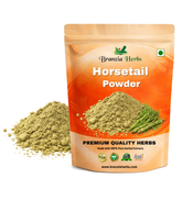 Horsetail (Shavegrass) Powder - Branzia Herbs