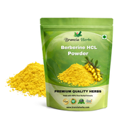 Berberine HCL Extract Powder - Branzia Herbs