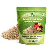 Dahlia Mixed Color Flower Seeds - Branzia Herbs