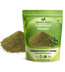 Lime Leaf Powder Wholesale - Branzia Herbs