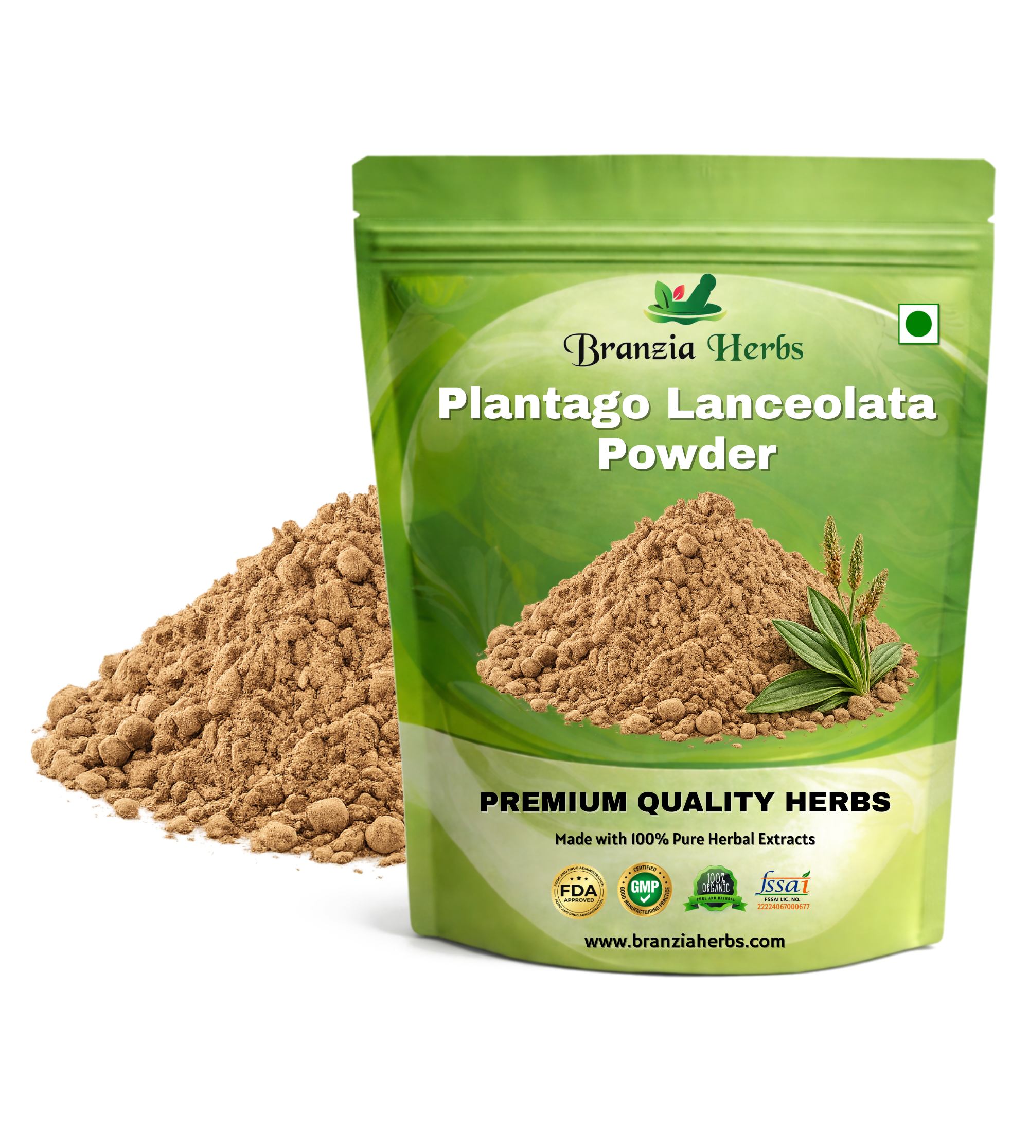 Plantago Lanceolata powder - Branzia Herbs