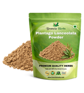Plantago Lanceolata powder - Branzia Herbs