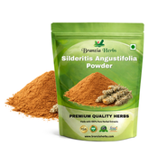 Silderitis Angustifolia Powder - Branzia Herbs