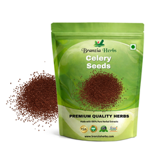 Celery Seeds | Herb Seeds Branzia Herbs
