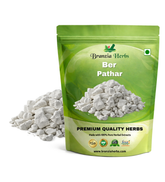 Ber Pathar / Fossil Encrinite / Calcined Lime Silicate - Branzia Herbs