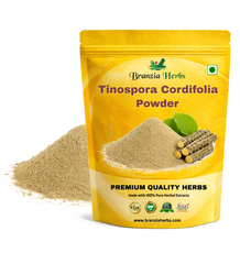 Tinospora Cordifolia ( Powder ) - Branzia Herbs