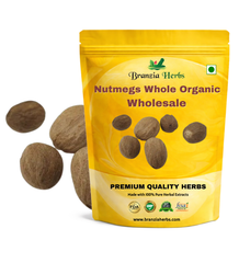 Nutmegs Whole Organic Wholesale Branzia Herbs
