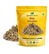 Bay Khumba-Baikhumba Baikumba-Careya Arbcea dried Raw Herbs - Branzia Herbs
