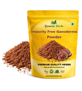 Impurity Free Ganoderma Powder - Branzia Herbs