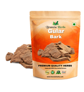 Gular Bark - Gular Chhal - Gular Chaal - Gular Chal - Ficus racemosa - Branzia Herbs