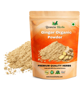 Ginger Powder Organic Wholesale - Branzia Herbs