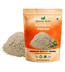 Kantakari/Bhorigni Powder – Indian nightshade - Branzia Herbs