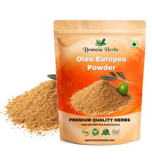 Olea Europea Extract Powder - Branzia Herbs
