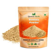 Somlata Churna – Ephedra gerardiana Somlata Powder - Branzia Herbs