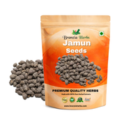 Jamun Seeds Guthli - Syzygium Cumini - Black Plum - Java Plum - Branzia Herbs