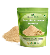 Acer Saccharum Powder - Branzia Herbs