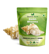 Sankh Bhasma - Branzia Herbs