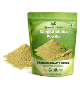 Gingko biloba powder - Branzia Herbs