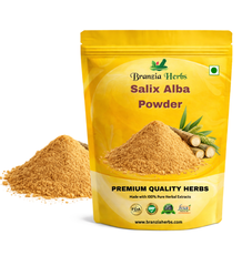 Salix Alba Extract Powder - Branzia Herbs