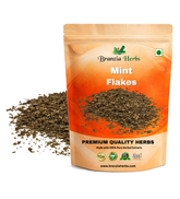Mint Flakes Wholesale Branzia Herbs