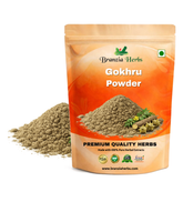 Gokhru Powder – Gokshura Powder – Tribulus terrestris - Branzia Herbs