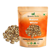 Baloot | Juft Baloot | Quercus incana - Branzia Herbs
