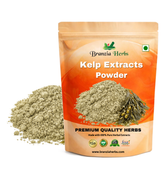 Kelp Extracts POWDER - Branzia Herbs