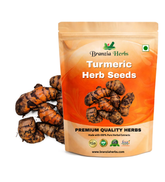 Turmeric Haldi Bulb | Herb Seeds Branzia Herbs
