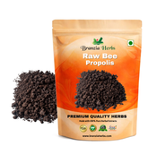 Raw Bee Propolis, Pure and Natural Without Any Chemicals Bee Propolis By Graduate Beekeepers Farm - Branzia Herbs