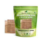 Bhojpatra Big Size ( 9 x 7.5 Inch) - Bhoj Patra - Bhojpattar - Birch - Betula utilis - Branzia Herbs
