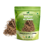 Bargad Ki Dadhi - Bar Ki Dari - Badh Ki Dadhi - Banyan Aerial Roots - Branzia Herbs