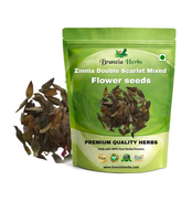 Zinnia Double Scarlet Mixed Color Flower Seeds