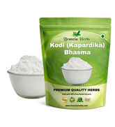 Kodi (Kapardika) Bhasma - Branzia Herbs